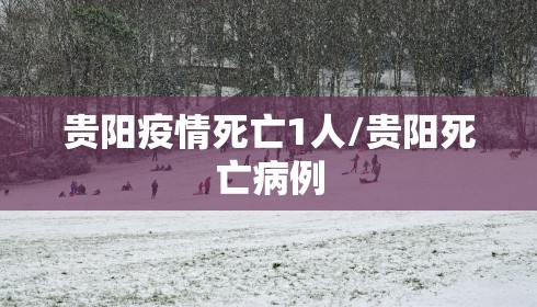 贵阳疫情死亡1人/贵阳死亡病例