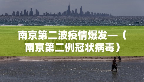 南京第二波疫情爆发—（南京第二例冠状病毒）