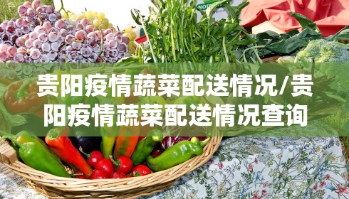 贵阳疫情蔬菜配送情况/贵阳疫情蔬菜配送情况查询