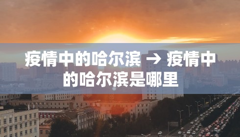 疫情中的哈尔滨 → 疫情中的哈尔滨是哪里
