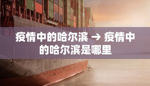 疫情中的哈尔滨 → 疫情中的哈尔滨是哪里 疫情中的哈尔滨 → 疫情中的哈尔滨是哪里