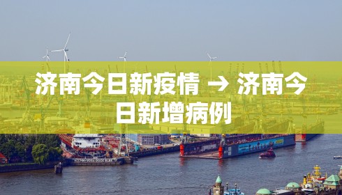 济南今日新疫情 → 济南今日新增病例