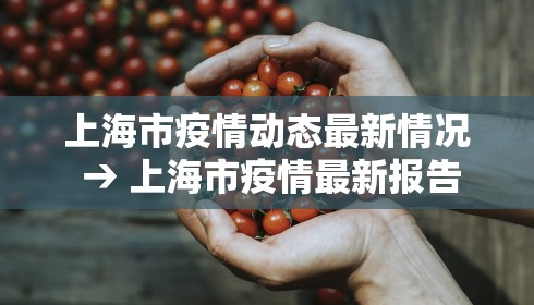 上海市疫情动态最新情况 → 上海市疫情最新报告