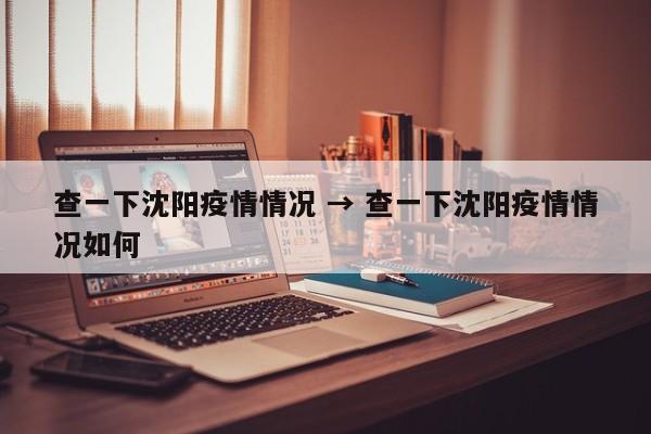 查一下沈阳疫情情况 → 查一下沈阳疫情情况如何