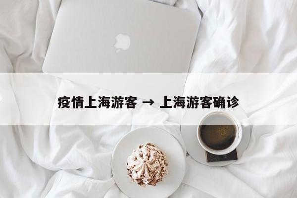 疫情上海游客 → 上海游客确诊