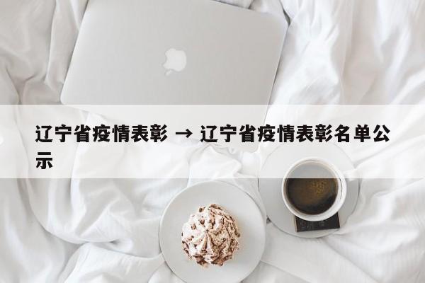 辽宁省疫情表彰 → 辽宁省疫情表彰名单公示